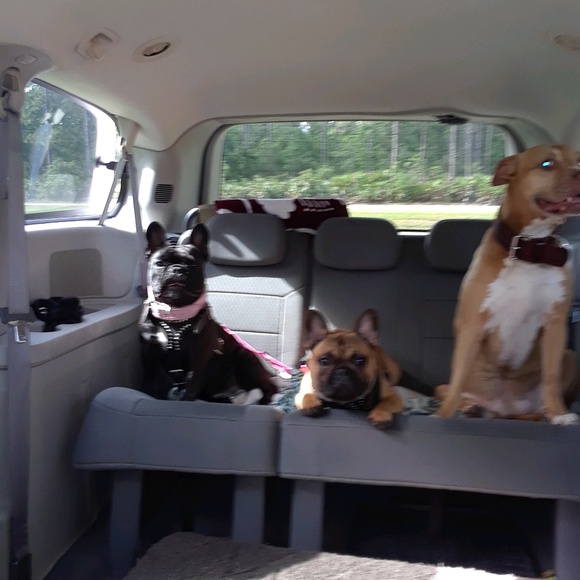 Meet your Posher, Briana - Picture 1 of 1